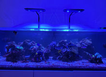 Load image into Gallery viewer, Light Mount Cutout for Kessil AP9X A-Series Mount = Precision-Fit Around Entire Mount
