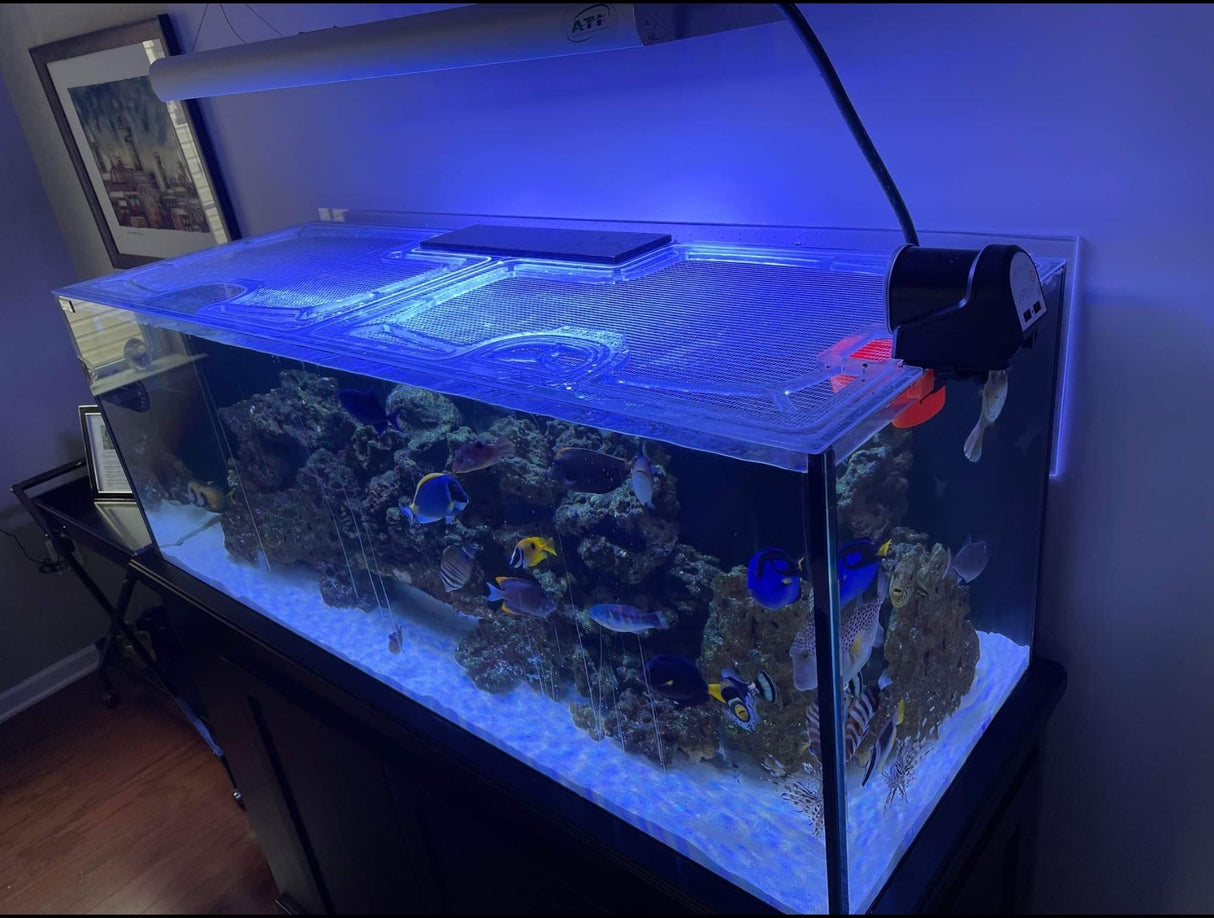 Crystal Dynamic Custom Polycarbonate Top Lid