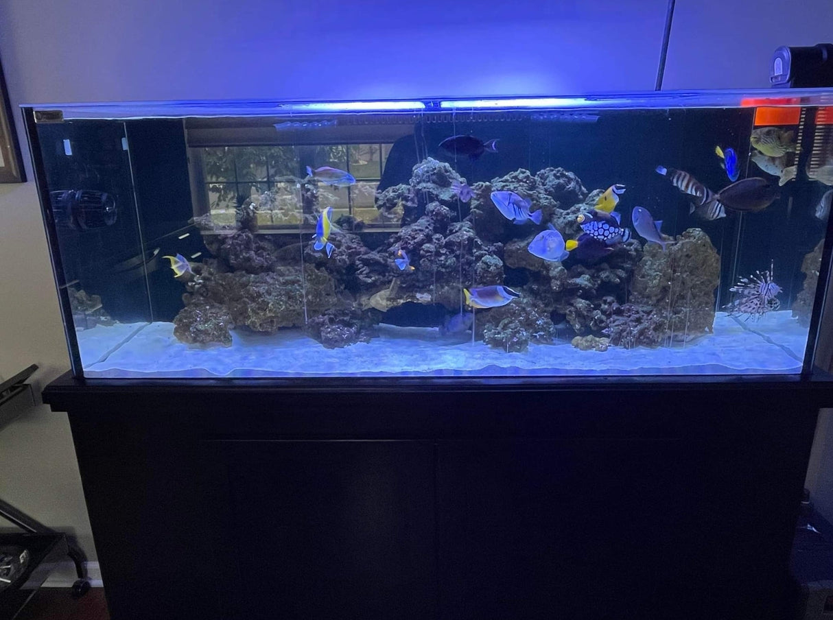 Crystal Dynamic Custom Polycarbonate Top Lid