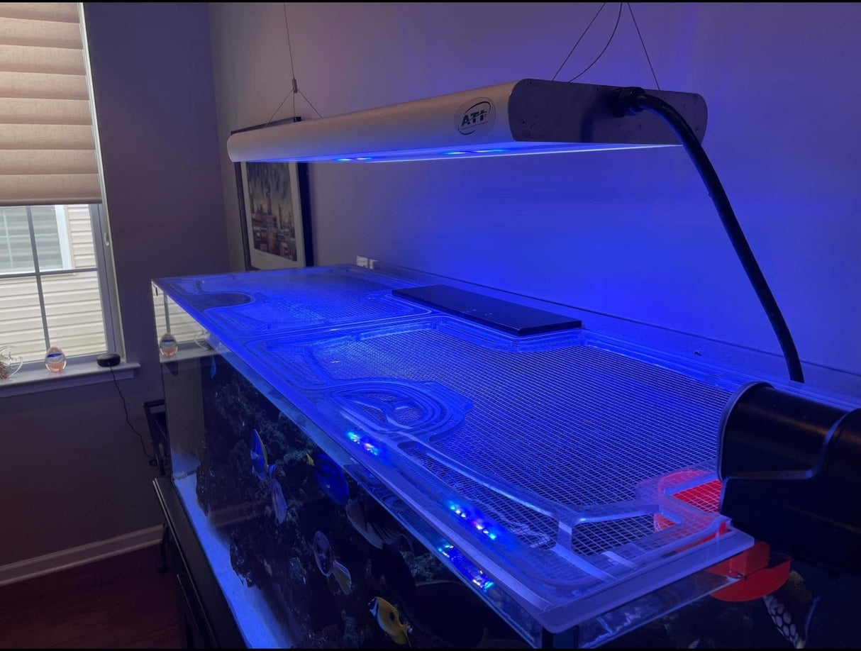 Crystal Dynamic Custom Polycarbonate Top Lid