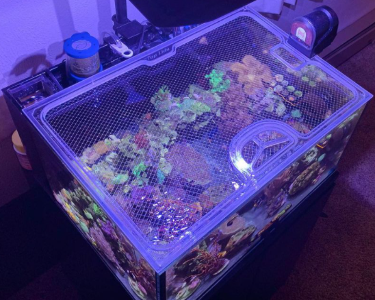 Top Lids Options Showcase - Custom, Screen Top, Single Frame CNC Precision-Cut Polycarbonate Aquarium Lids for Protecting Jumpers and Keeping Fish In-Tank