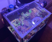 Load image into Gallery viewer, Top Lids Options Showcase - Custom, Screen Top, Single Frame CNC Precision-Cut Polycarbonate Aquarium Lids for Protecting Jumpers and Keeping Fish In-Tank
