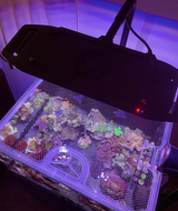 Top Lids Options Showcase - Custom, Screen Top, Single Frame CNC Precision-Cut Polycarbonate Aquarium Lids for Protecting Jumpers and Keeping Fish In-Tank