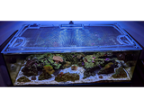 Waterbox Frag 85.3 Custom Polycarbonate Aquarium Screen Top Lid