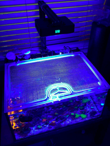 Innovative Marine NUVO 25 Lagoon Fusion Pro AIO Custom Polycarbonate Aquarium Screen Top Lid