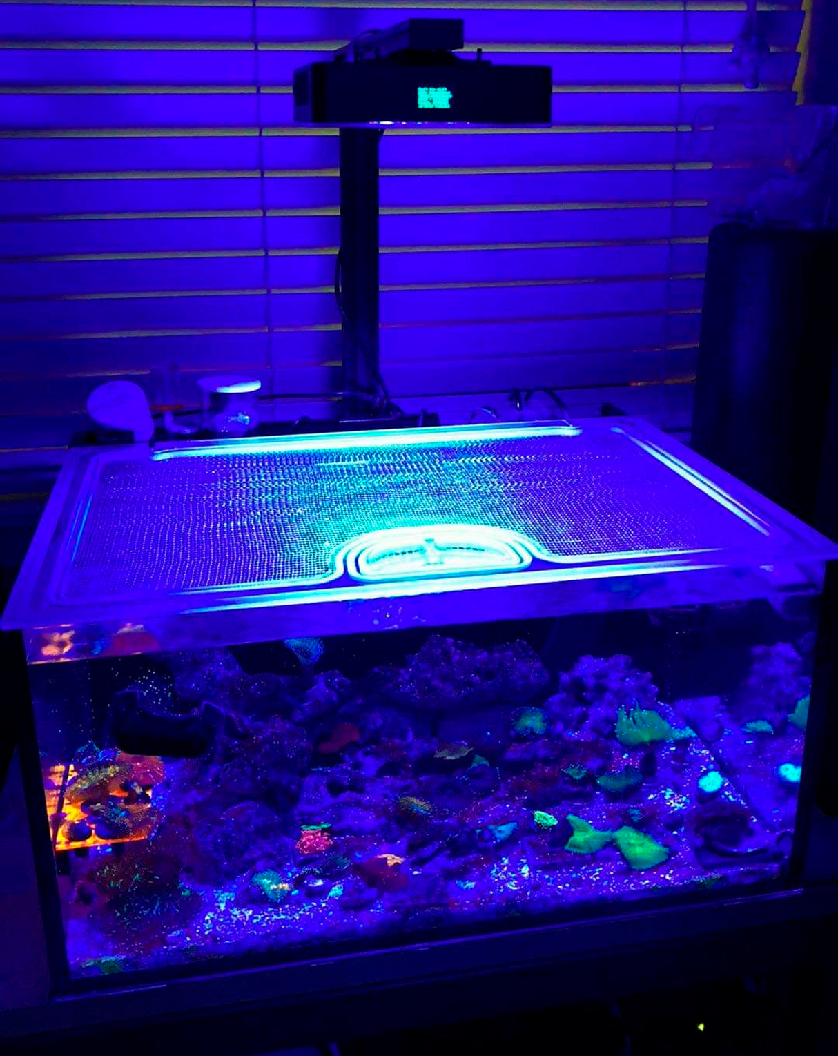 Innovative Marine NUVO 25 Lagoon Fusion Pro AIO Custom Polycarbonate Aquarium Screen Top Lid