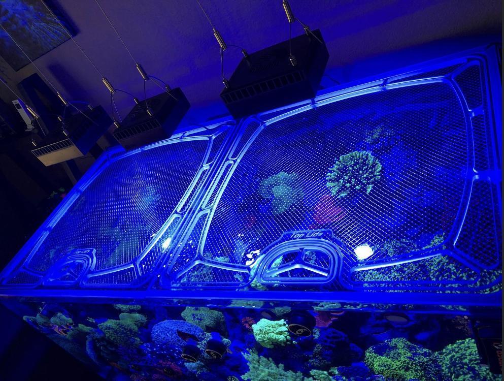 Planet Aquariums Mega Matrix Peninsula 140 Gallon 48”L x 24”W Custom Polycarbonate Aquarium Screen Top Lid