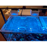 Waterbox Peninsula 7225 Custom Polycarbonate Aquarium Screen Top Lid