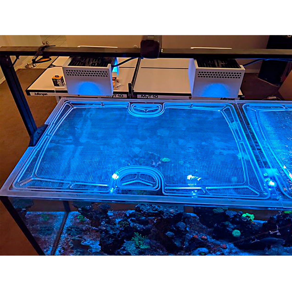 Waterbox Infinia Peninsula 7225 Custom Polycarbonate Aquarium Screen Top Lid