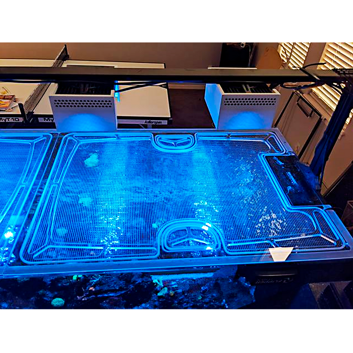 Waterbox Infinia Peninsula 7225 Custom Polycarbonate Aquarium Screen Top Lid