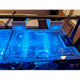 Waterbox Infinia Peninsula 7225 Custom Polycarbonate Aquarium Screen Top Lid