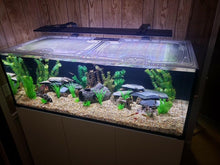 Load image into Gallery viewer, Waterbox Clear 6025 Custom Polycarbonate Aquarium Screen Top Lid
