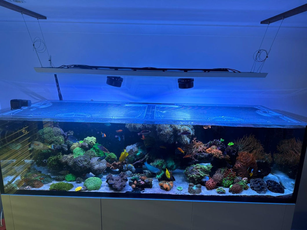 Waterbox Reef LX 320.7 Rimless Custom Polycarbonate Aquarium Screen Top Lid
