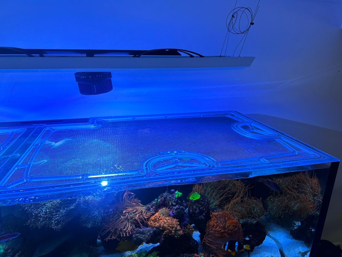 Waterbox Reef LX 320.7 Rimless Custom Polycarbonate Aquarium Screen Top Lid