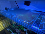 Waterbox Reef LX 320.7 Rimless Custom Polycarbonate Aquarium Screen Top Lid