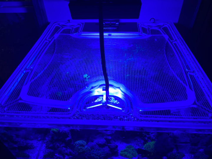 CADE Reef X 700N Polycarbonate Screen Top Lid