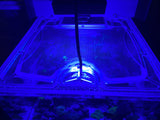 CADE Reef 500 S2 Custom Polycarbonate Aquarium Screen Top Lid