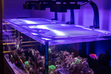 Waterbox Reef 220.6 Custom Polycarbonate Aquarium Screen Top Lid