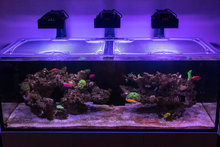 Load image into Gallery viewer, Waterbox Reef 220.6 Custom Polycarbonate Aquarium Screen Top Lid
