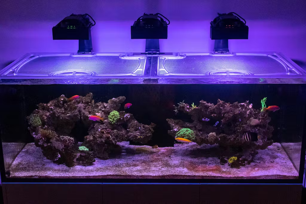 Waterbox Reef 180.5 Custom Polycarbonate Aquarium Screen Top Lid
