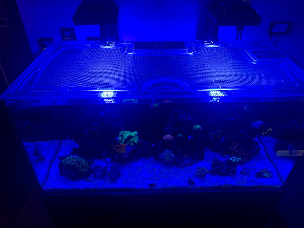 Waterbox Reef LX 190.4 Rimless Custom Polycarbonate Aquarium Screen Top Lid