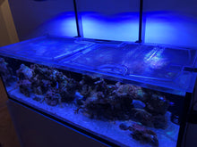 Load image into Gallery viewer, Waterbox Reef LX 230.5 Rimless Custom Polycarbonate Aquarium Screen Top Lid
