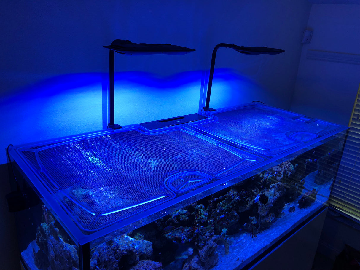 Waterbox Reef LX 230.5 Rimless Custom Polycarbonate Aquarium Screen Top Lid