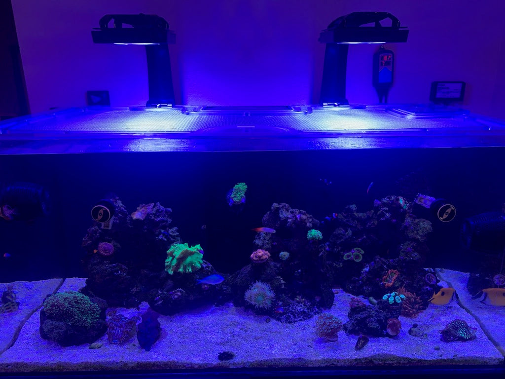 Waterbox Reef 130.4 Custom Polycarbonate Aquarium Screen Top Lid