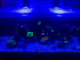 Waterbox Reef 130.4 Custom Polycarbonate Aquarium Screen Top Lid