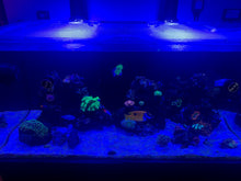 Load image into Gallery viewer, Waterbox Reef 130.4 Custom Polycarbonate Aquarium Screen Top Lid
