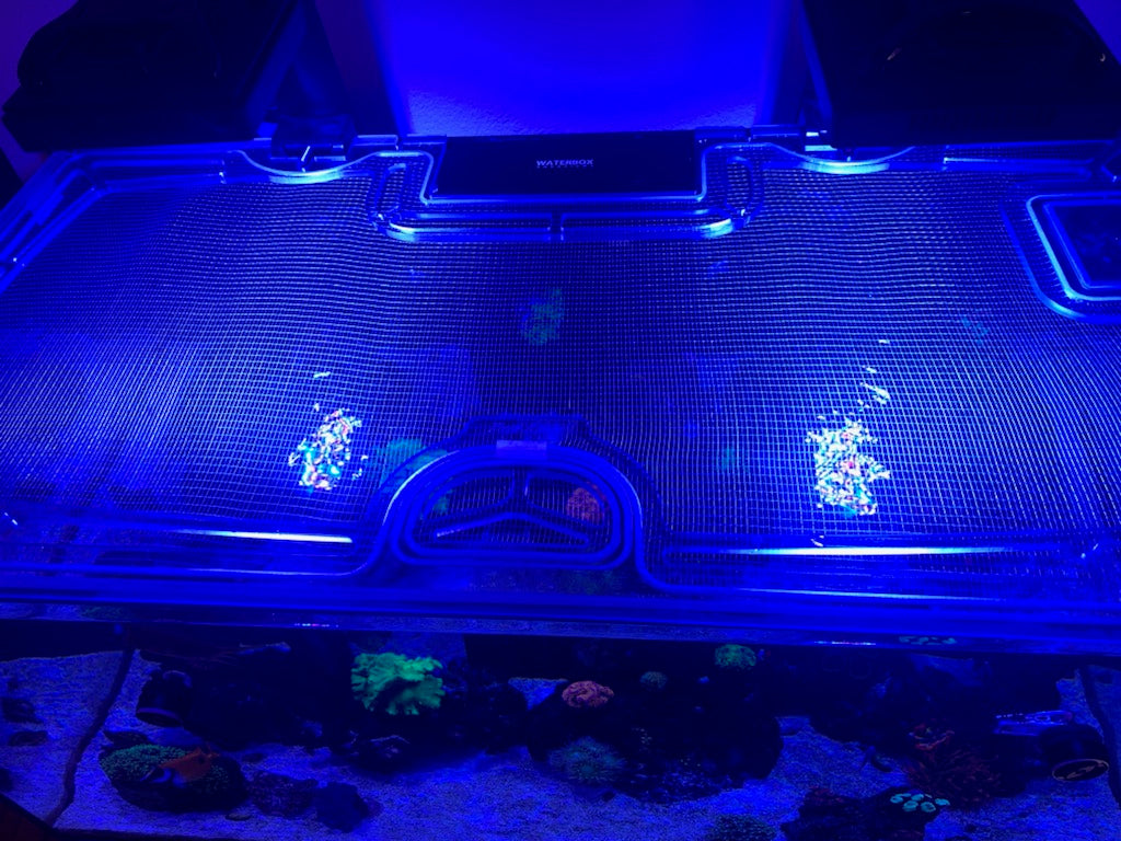 Waterbox Reef 130.4 Custom Polycarbonate Aquarium Screen Top Lid