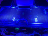 Waterbox Reef 130.4 Custom Polycarbonate Aquarium Screen Top Lid