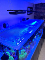 Red Sea Reefer 625 XXL G1 Custom Polycarbonate Aquarium Screen Top Lid