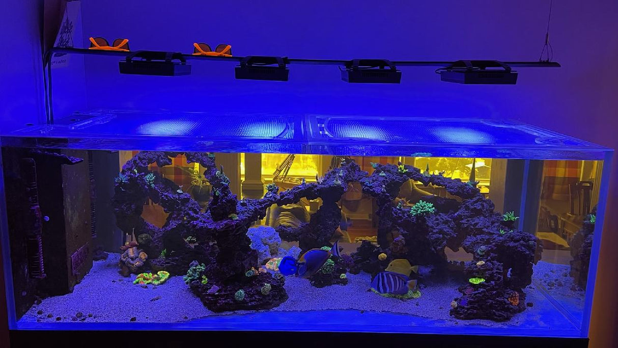 CADE Peninsula 1800 S2 Custom Polycarbonate Aquarium Screen Top Lid
