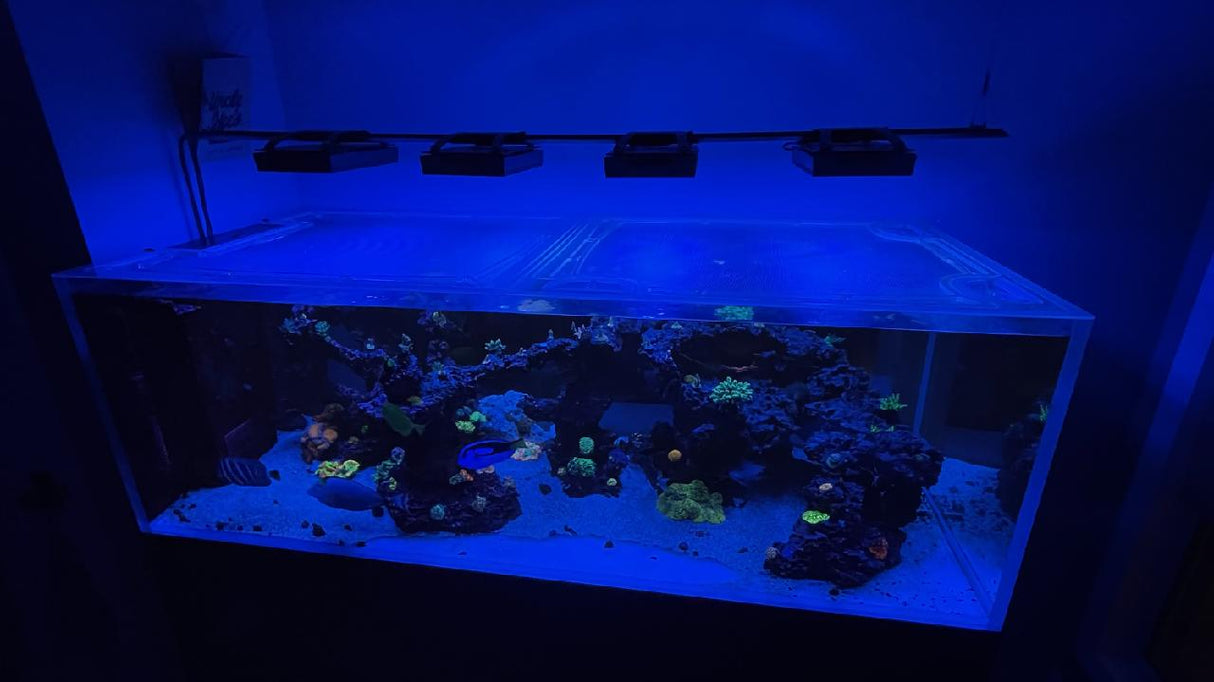 CADE Peninsula 1800 S2 Custom Polycarbonate Aquarium Screen Top Lid
