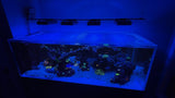 CADE Peninsula 1800 S2 Custom Polycarbonate Aquarium Screen Top Lid