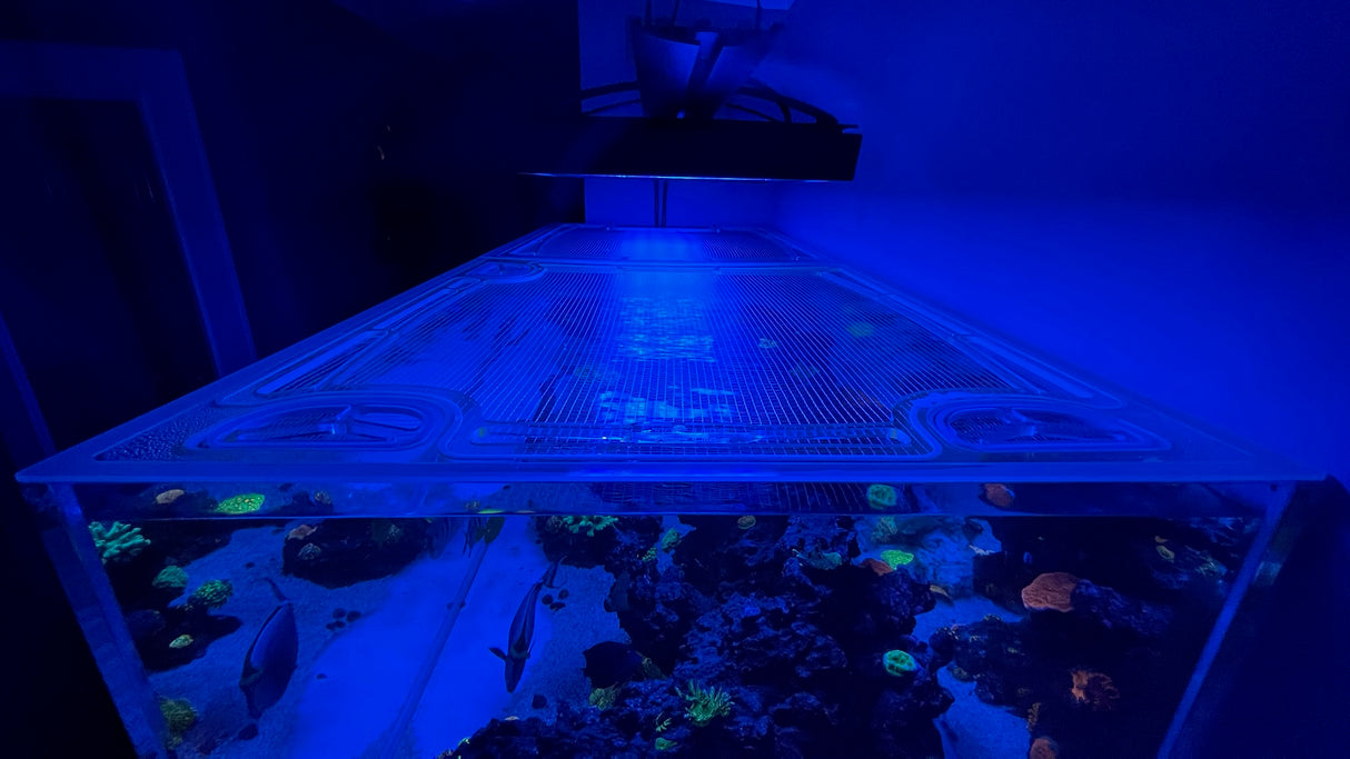 CADE Peninsula 1800 S2 Custom Polycarbonate Aquarium Screen Top Lid