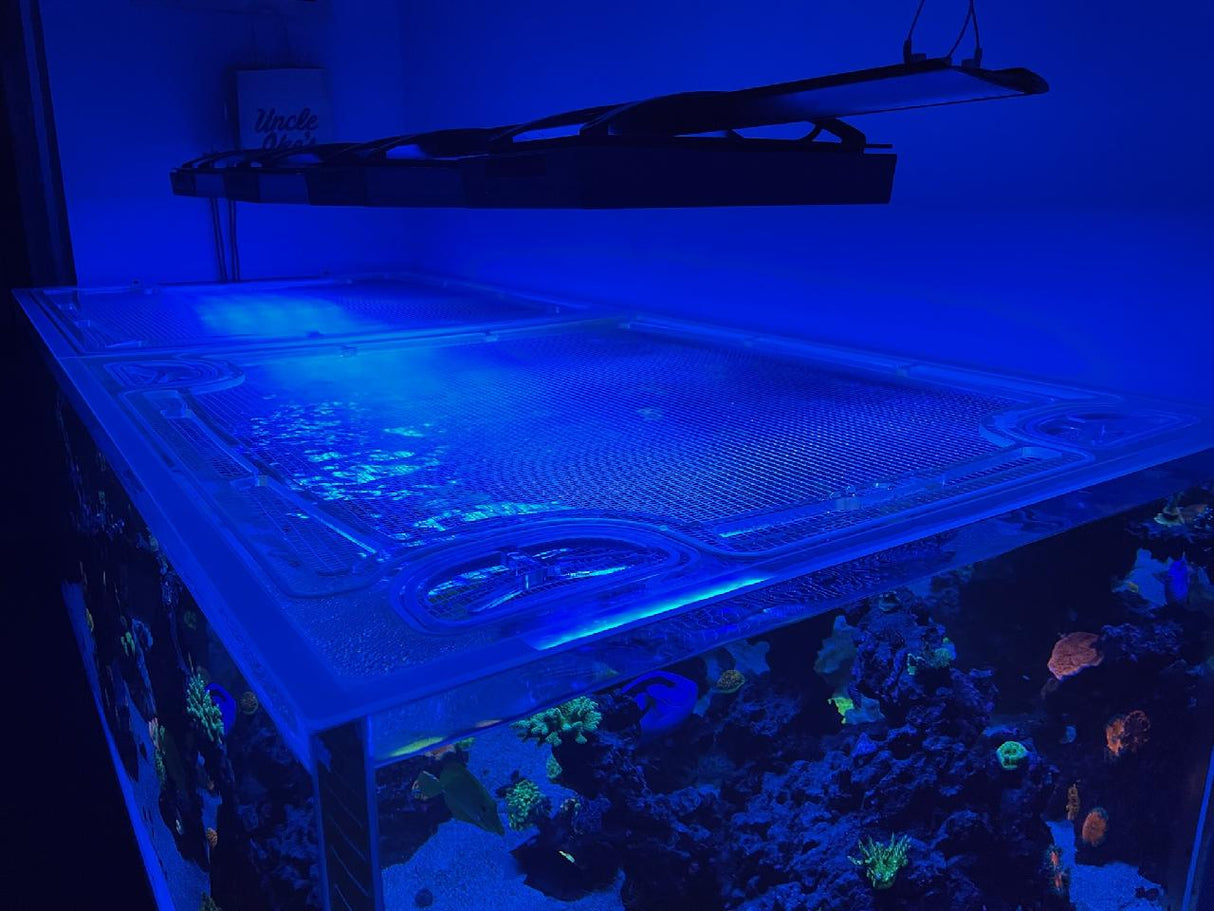CADE Peninsula 1800 S2 Custom Polycarbonate Aquarium Screen Top Lid