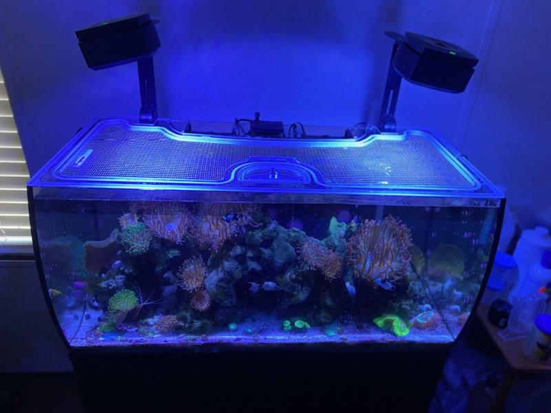 Fluval Flex 32.5G / 123L Custom Polycarbonate Aquarium Screen Top Lid