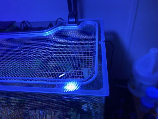 Fluval Evo 5 Polycarbonate Aquarium Screen Top Lid