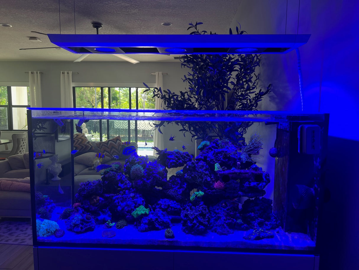 Red Sea Reefer Peninsula 650 Custom Polycarbonate Aquarium Screen Top Lid