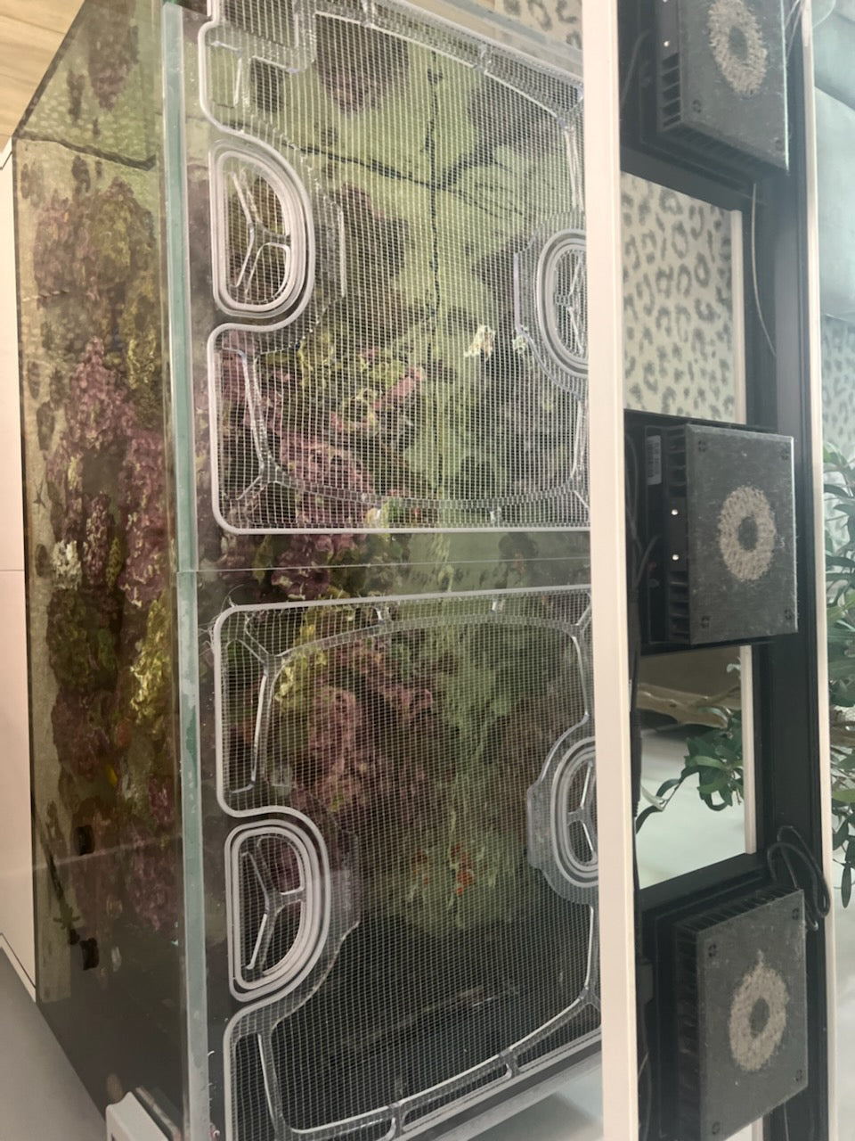 Red Sea Reefer Peninsula 650 Custom Polycarbonate Aquarium Screen Top Lid