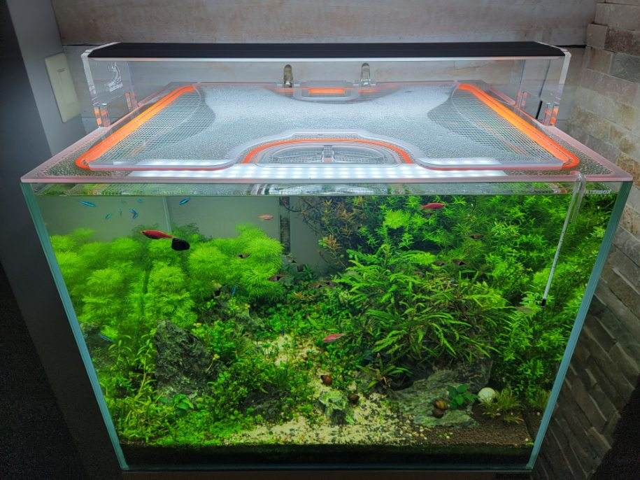 Waterbox Eden 20 Custom Polycarbonate Aquarium Screen Top Lid