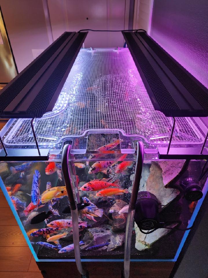 Ultum Nature Systems UNS Standard 90P Custom Polycarbonate Aquarium Screen Top Lid