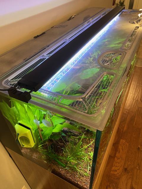 Waterbox AIO 65.4 Custom Polycarbonate  Aquarium Screen Top Lid