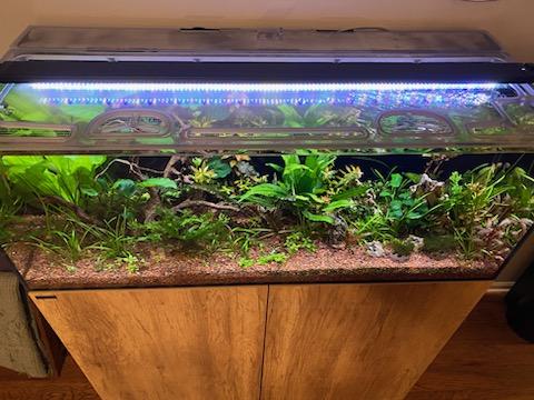 Waterbox AIO 65.4 Custom Polycarbonate  Aquarium Screen Top Lid