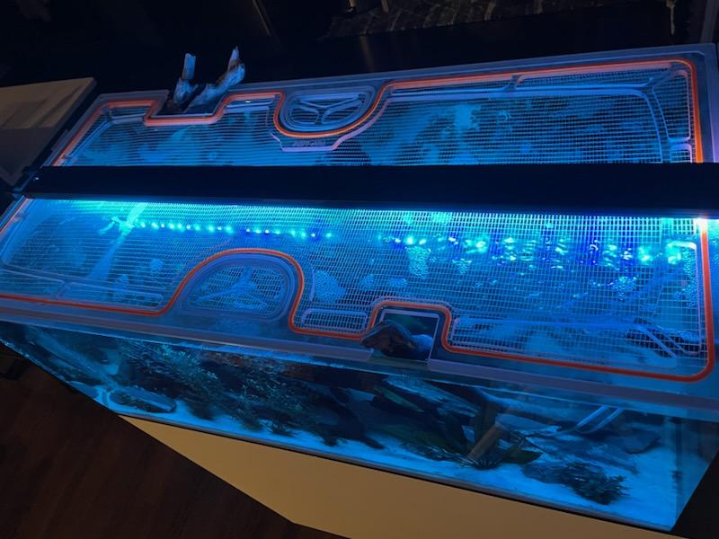 Waterbox AIO Peninsula 50.3 Custom Polycarbonate Aquarium Screen Top Lid