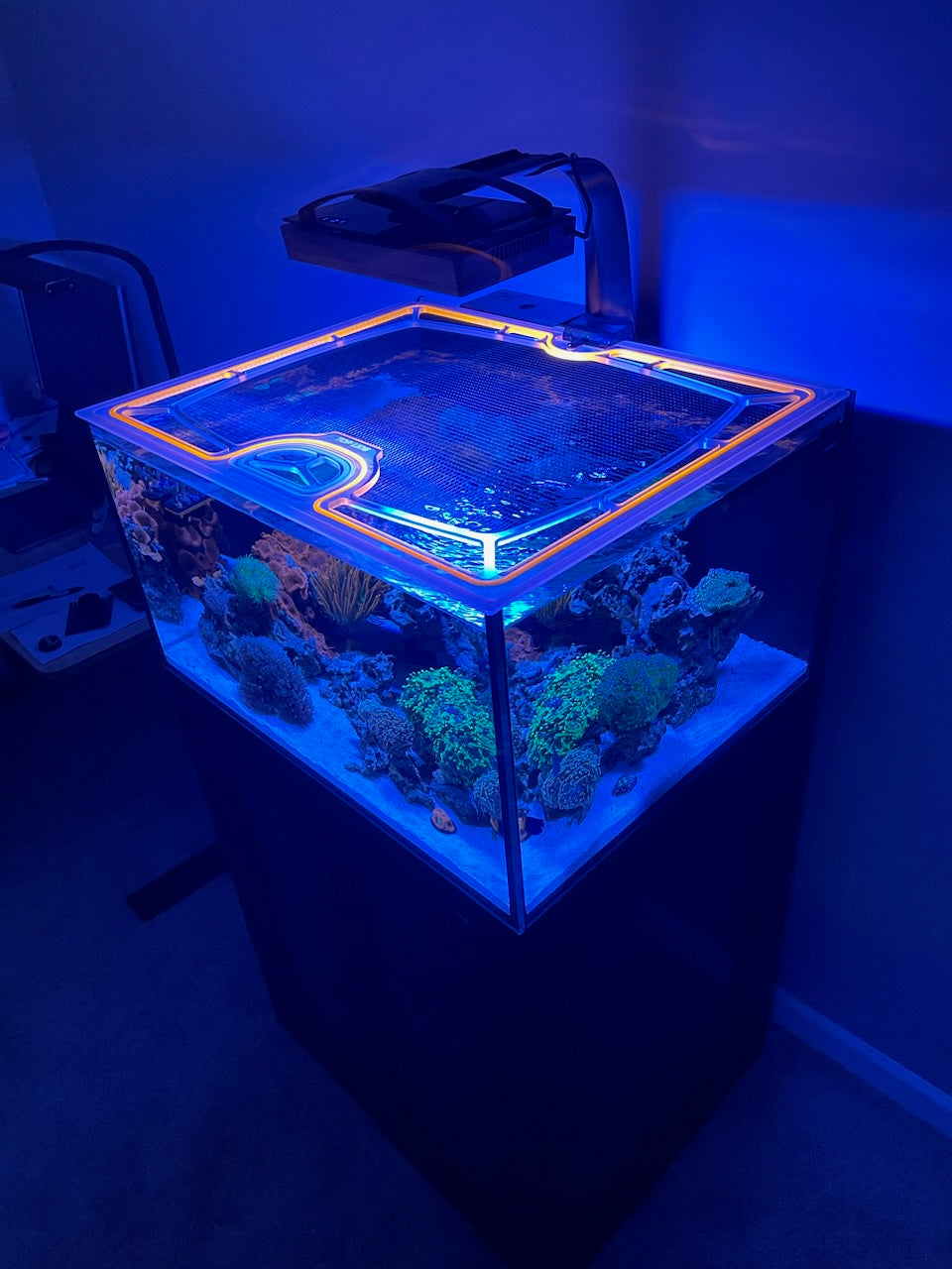 Innovative Marine NUVO 50 EXT Custom Polycarbonate Aquarium Screen Top Lid