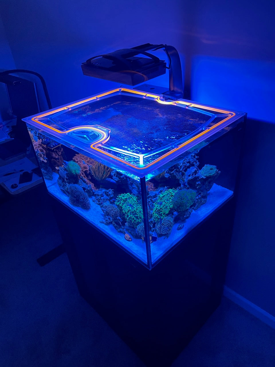 Waterbox Cube 50 Custom Polycarbonate Aquarium Screen Top Lid
