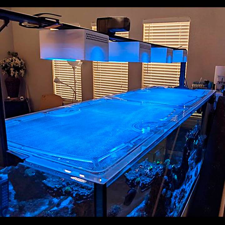 Waterbox Infinia Peninsula 4825 Custom Polycarbonate Aquarium Screen Top Lid